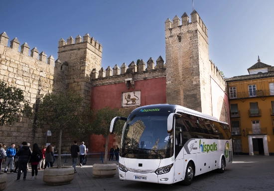 autocares de 39 plazas 1