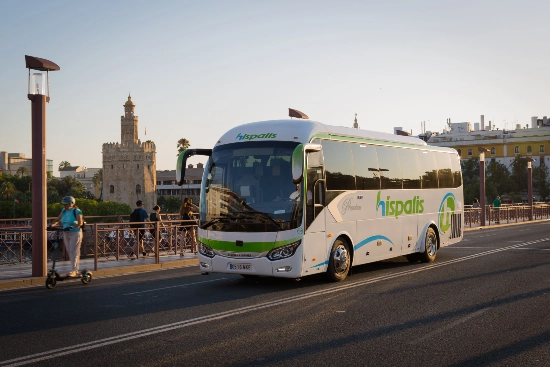 autocares de 39 plazas 4