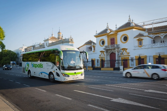 autocares de 39 plazas 8