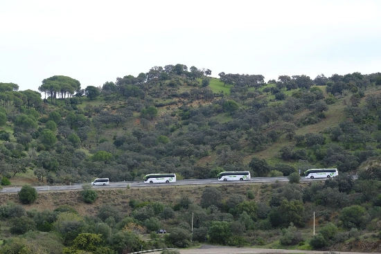 autobuses sostenible 1